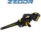 Акумуляторна пила ZEGOR CSPP-21BL-12 21v /шина 12"(30см) /36міс.гарантія