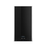 Котел газовий конденсаційний Ariston ALTEAS ONE+ NET 24